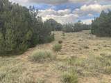 L29 B1 Black Diamond Drive - Photo 2