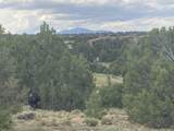 L29 B1 Black Diamond Drive - Photo 4