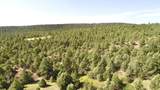 23560 Bighorn Drive - Photo 55