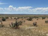 lot 4 Outback Ranch - Photo 12