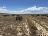 lot 4 Outback Ranch - Photo 15