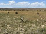 lot 4 Outback Ranch - Photo 5