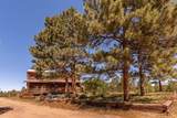 24401 County Rd 44 - Photo 36