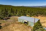 24401 County Rd 44 - Photo 41