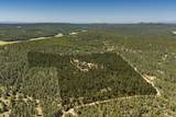 24401 County Rd 44 - Photo 43