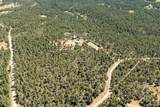 24401 County Rd 44 - Photo 46