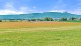 44333 Co Rd 40 - Photo 14