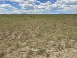 lot 53 Colorado Buffalo Ranch - Photo 8