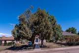 218 Spruce St - Photo 28