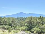 8420 La Belle Trail - Photo 1
