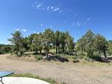 8420 La Belle Trail - Photo 23