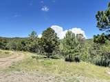 8420 La Belle Trail - Photo 26