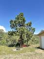 8420 La Belle Trail - Photo 28