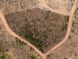 Lot 1596 Douglas Lane - Photo 4