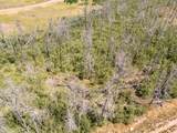 Lot 1656 Lutolf Lane - Photo 2