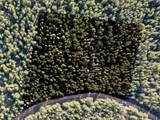 Lot 3231 Zipf Lane - Photo 2