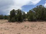 Lot 116 Comanche Drive - Photo 10
