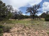 Lot 116 Comanche Drive - Photo 15