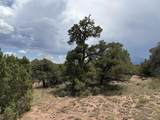 Lot 116 Comanche Drive - Photo 2