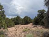 Lot 116 Comanche Drive - Photo 3
