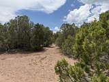 Lot 116 Comanche Drive - Photo 8