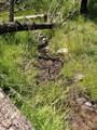  County Road 442 - Photo 5