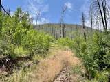 County Road 442 - Photo 7
