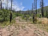  County Road 442 - Photo 8