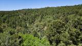 15536 Ponderosa Loop - Photo 12