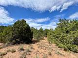 TBD Navajo Ranch Resorts #1 - Photo 3