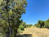 TBD Silver Spurs Ranch #5 - Photo 10