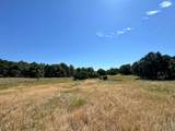 TBD Silver Spurs Ranch #5 - Photo 4