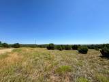 TBD Silver Spurs Ranch #5 - Photo 5