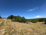 TBD Silver Spurs Ranch #5 - Photo 7