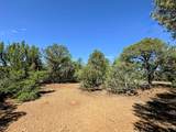 TBD Silver Spurs Ranch #5 - Photo 8