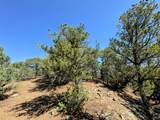 TBD Silver Spurs Ranch #5 - Photo 9