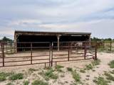 27193 County Farm Rd - Photo 29