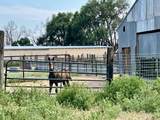 27193 County Farm Rd - Photo 33