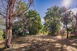 1218 Bernal St - Photo 34