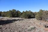  Buffalo Drive - Photo 10