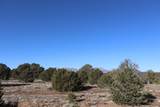  Buffalo Drive - Photo 13