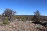  Buffalo Drive - Photo 14