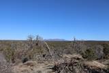  Buffalo Drive - Photo 15