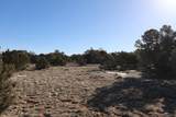  Buffalo Drive - Photo 17