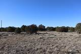  Buffalo Drive - Photo 8