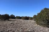  Buffalo Drive - Photo 9