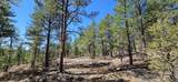 24300 Trujillo Creek Rd - Photo 15