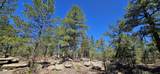 24300 Trujillo Creek Rd - Photo 16
