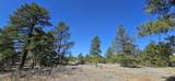 24300 Trujillo Creek Rd - Photo 18