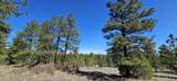 24300 Trujillo Creek Rd - Photo 19